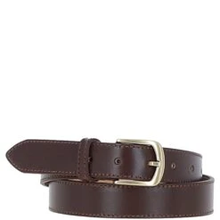 Women's Fashion Leather Belt With Gold Metal Pin Buckle Brown: LB-303